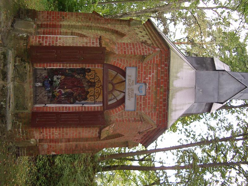 IMGP0896